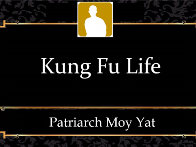 MYI1 – Kung Fu Life