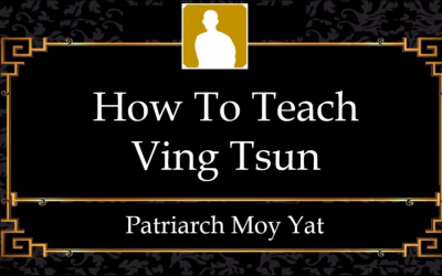 MYI2 – How to Teach Ving Tsun