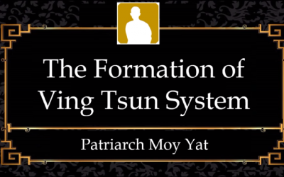 MYI3 – The Formation of Ving Tsun System