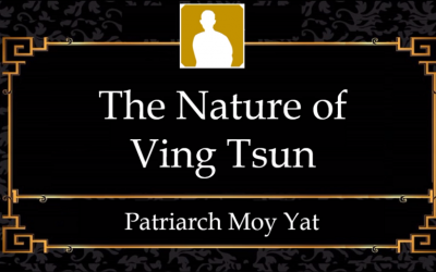 MYI4 – The Nature of Ving Tsun System